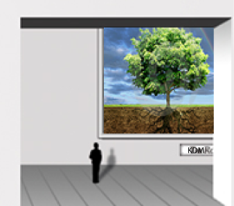 Kinesere i Danmark, kinesisk i Danmark, Kina i Danmark